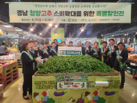 가격 급락 경남산 풋고추…하나로마트서 50% 할인 판매