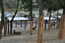 모기업 경영위기…부산시, 동물원 삼정더파크에 먹이 지원