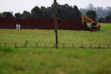브라질 가금농장서 고병원성 AI 발생…정부, 브라질산 닭고기 수입금지