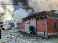 부산 사하구 야산 농장서 불…진화 중