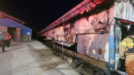 김제 양계장서 불…닭 1만 5천마리 폐사