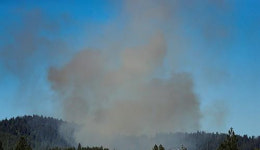 美서 산불 지르고 매복해 총격, 소방관 2명·용의자 숨져