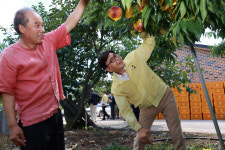 보성군 체계적 재해 예방 인프라 구축, 이상 기후에도 안전 확보