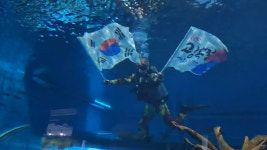 괴산 농소막을 아시나요…충북아쿠아리움도 인기