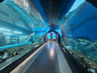 괴산 농소막을 아시나요…충북아쿠아리움도 인기