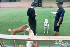 [르포]인간이 미안해… 1400마리 불법 번식장 구조견 봉사 체험[댕댕냥냥]