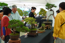 울진에서 펼쳐지는 가을 문화축제…성류문화제 26일 개막