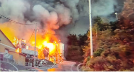 경북 청송 돈사서 화재…돼지 6700여 두 폐사