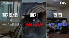 치매는 불치병? 반만 맞는 말 뇌세포 살리는 재활 치료[의사결정]