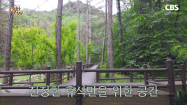 1박에 1만 5천원으로 휴양림 숙박 가능한 곳은?[여차저차]