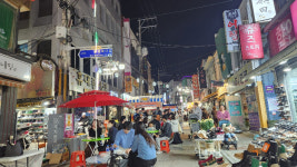 국화축제에서 창동 눈꽃거리까지 마산에서 즐기세요