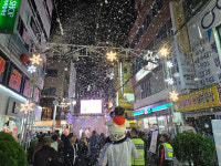 국화축제에서 창동 눈꽃거리까지 마산에서 즐기세요