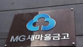 새마을금고 감독권 행안부 남되, 금융당국 협업 강화 가닥