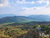 금정산국립공원사무소 임시청사, 부산 동래구로 결정