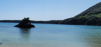 영덕군 갯바위서 낚시 40대 바다에 추락 사망