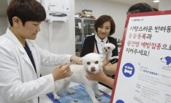 동물병원 상담료 대전이 가장 비싸…최저인 전남과 1.7배 차이