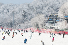 따뜻한 겨울 강원 축제장 희비