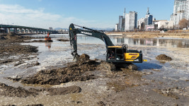 대전 3대 하천 준설 후, 갑천 생물 다양성 급감