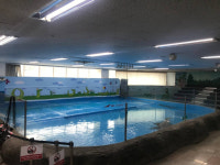 대전환경단체 대전아쿠아리움 불법 동물 체험 지속 비판