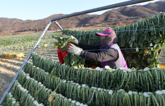 여성농업인 건강권 보호 강화…올해부터 특수건강검진 사업 대상 확대