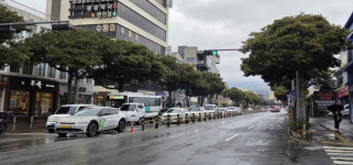 서귀포시에 시민 참여형 가로수 실명제 도입