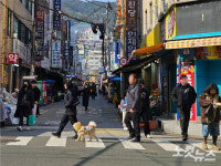 상권 살고 학교도 들썩…해수부 부산 이전 효과 톡톡