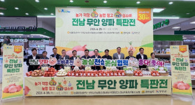 농협전남본부, 무안 양파 소비 촉진 앞장