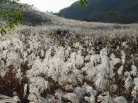 [산산산]포천 - 철원 명성산