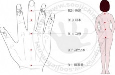 [마니아] 회원 4000명 ‘수지침 봉사단’