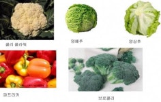 웰빙&힐링농업직판장 | [MD의 훈수] ‘웰빙채소’