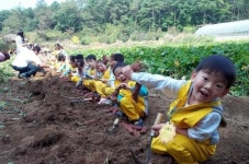 도시에서 텃밭을…주말농장 회원 모집