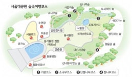 [Zoom in 서울] 청계산 숲 생태체험