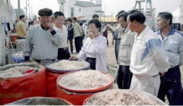 [토종 웰빙을 찾아서] 충남 광천 새우젓