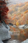 [조용섭의 산으路] 전남 구례 지리산 피아골