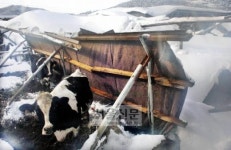 피해 2300억 “이제는 복구다”