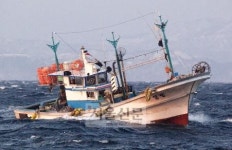 1魚4色4味…강원 거진항 명태