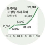 [역세권 아파트 탐방] 도곡동 도곡렉슬