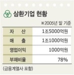 [대우건설 인수 누가 뛰나] 삼환기업