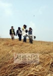젊어지는 특별한시간 ‘걷기’