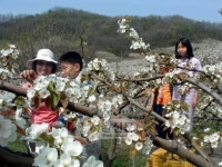 풋풋한 흙냄새 주말농장 손짓