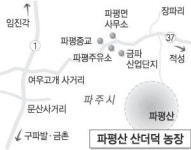 달아난 입맛… 산더덕 어때요?