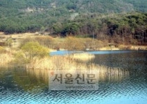 [낚시사랑과 함께 월척 樂漁 웰빙 樂漁] 충남 홍성군 금마면 봉서지