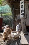 [오지로 떠나는 시간여행] (2)영월 가정마을~정선 거북마을