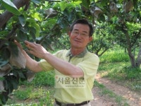 [농업 희망을 쏜다] (4) 자본·기술·인내로 버텨낸 배 과수원