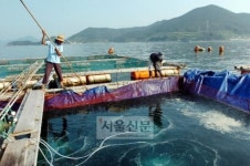 [오지로 떠나는 시간여행] (6) 경남 통영 용초도