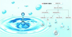 국제전해수사업단 | 제주의 ‘황금빛 꿈’ 2탄