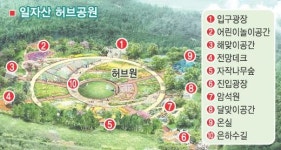 허브플라워Ⅱ | 허브향에 취하는 별빛 산책