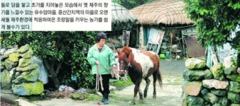 [오지로 떠나는 시간여행] (14) 제주시 애월읍 유수암리