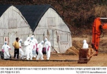 [되살아나는 ‘AI 망령’] 발생 석달 지난 익산 양계농 아직도 시름