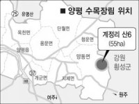 양평에 국내 첫 수목장림
